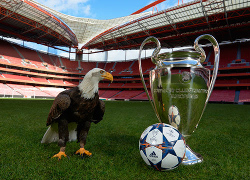 环足奖年度最佳女足球员候选：邦马蒂、普特利亚斯、凯莉在列（环足奖年度最佳女足球员候选名单公布：邦马蒂、普特利亚斯、凯莉入围）